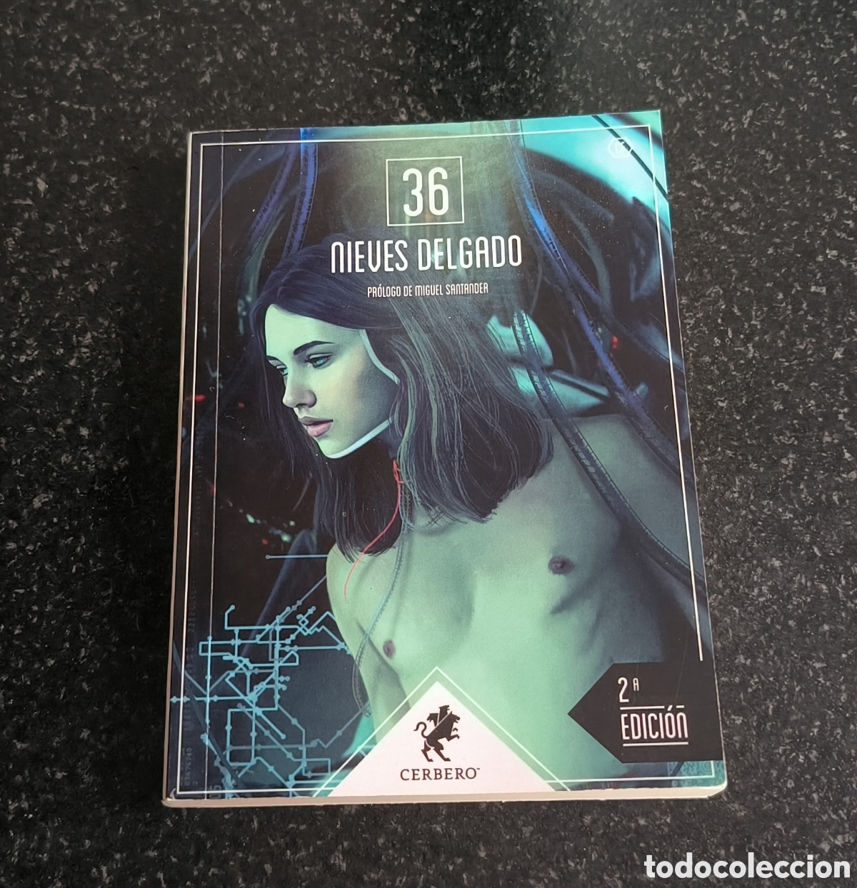 Libros de segunda mano: Libro 36 de Nieves Delgado - Foto 1