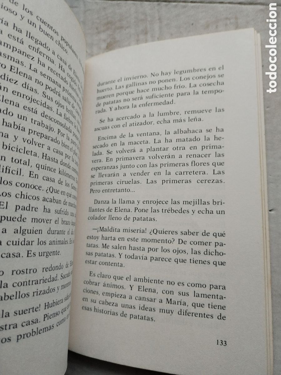 Libros de segunda mano: MARIA DE AMOREIRA/SM - Foto 4