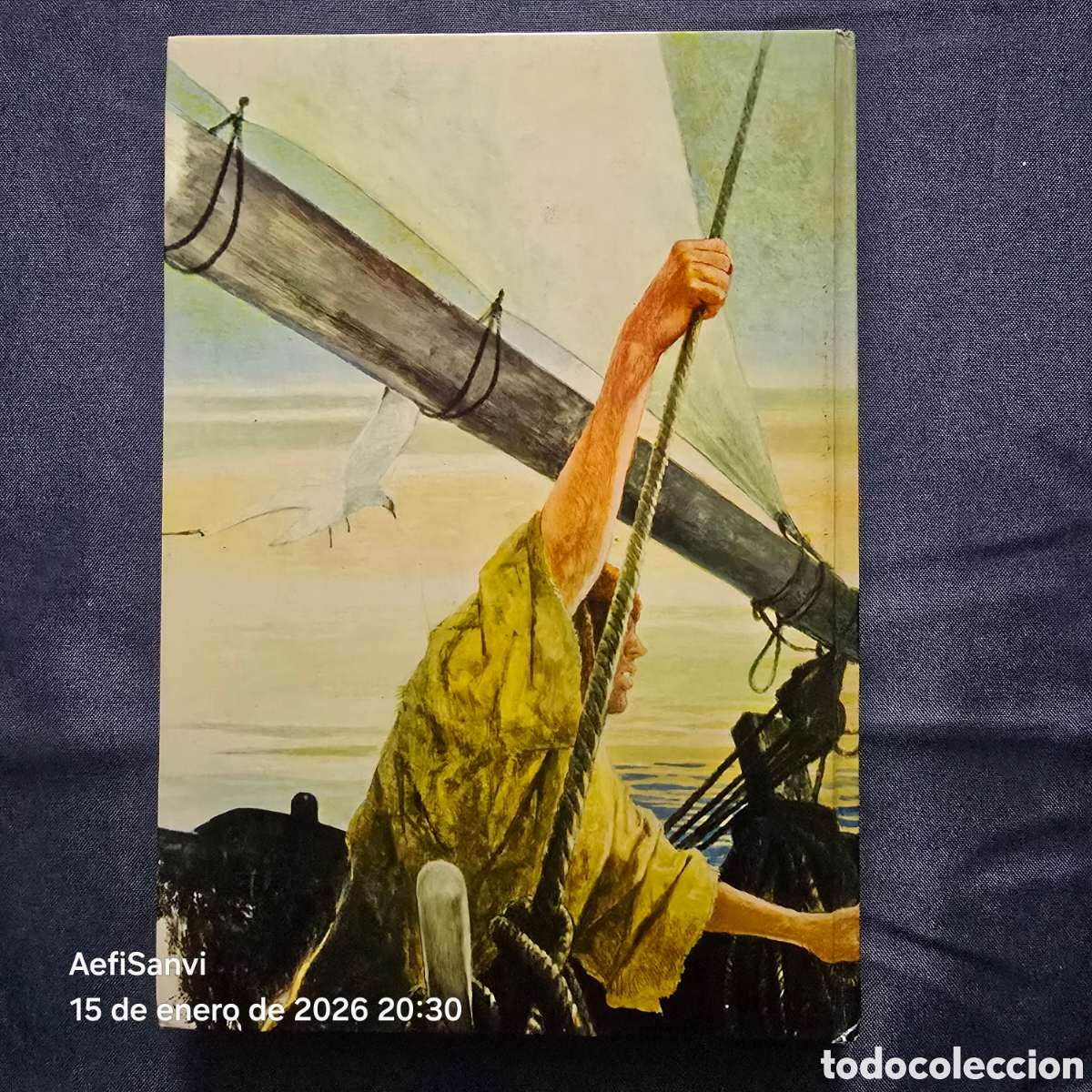 Libros de segunda mano: CAPITANES INTREPIDOS (RUDYARD KIPLING) (EDIVAL) - Foto 4