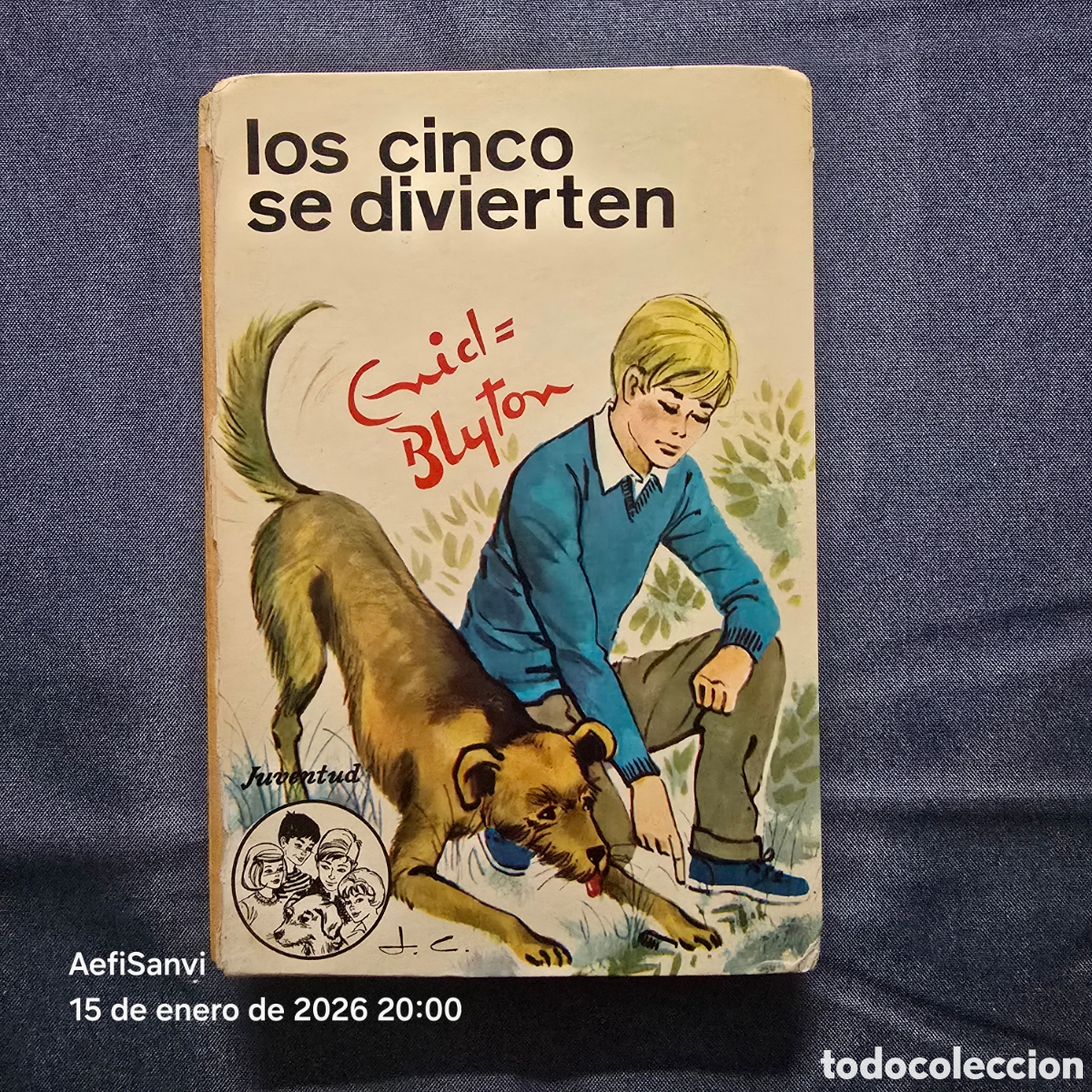 Libros de segunda mano: LOS CINCO 33: LOS CINCO SE DIVIERTEN (ENID BLYTON) (JUVENTUD)