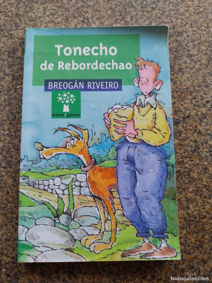 Libros de segunda mano: TONECHO DE REBORDECHAO -- BREOGAN RIVEIRTO -- - Foto 1