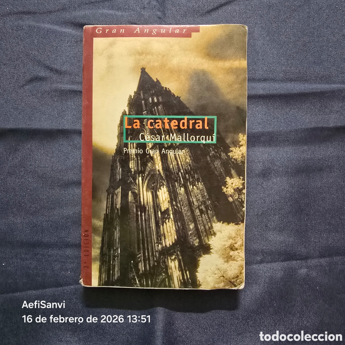 Libros de segunda mano: LA CATEDRAL (C&Eacute;SAR MALLORQU&Iacute;) (GRAN ANGULAR, SM) - Foto 1