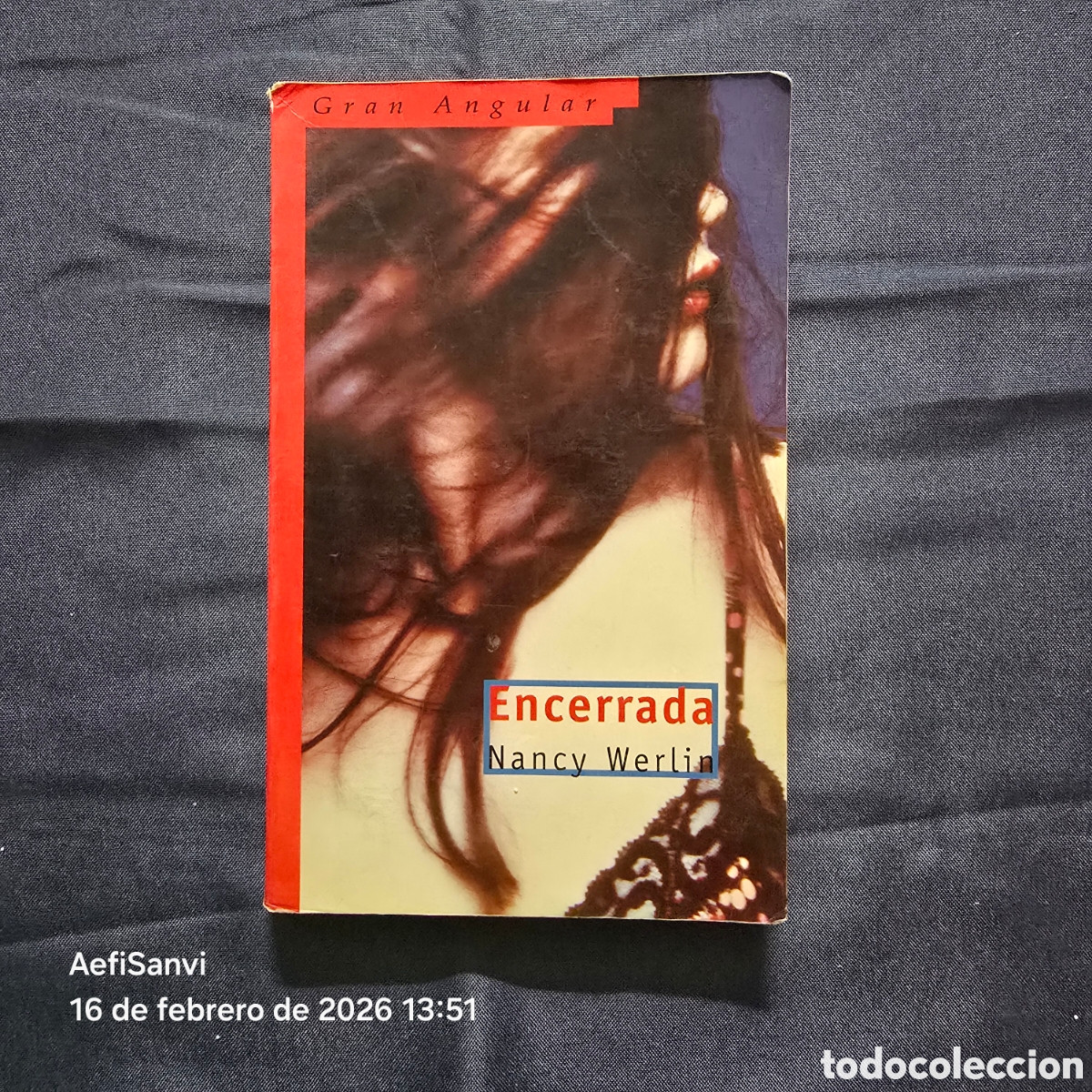 Libros de segunda mano: ENCERRADA (NANCY WERLIN) (GRAN ANGULAR, SM) - Foto 1