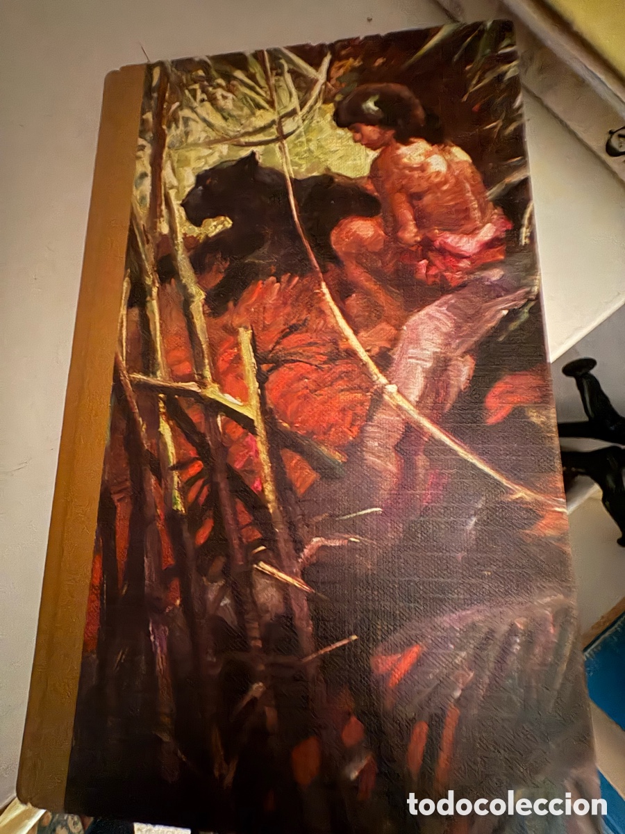 Libros de segunda mano: el libro de la selva - Foto 2