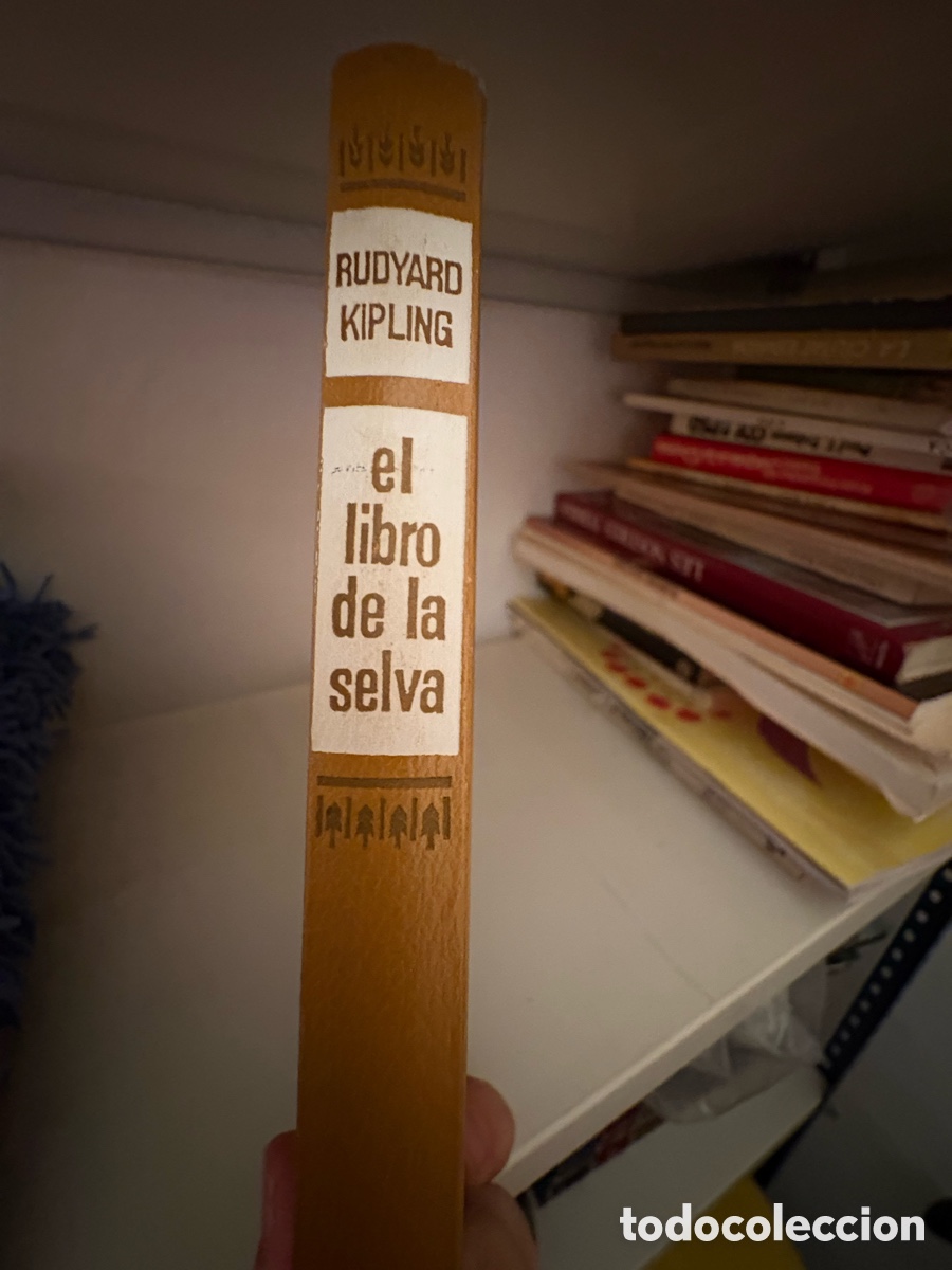 Libros de segunda mano: el libro de la selva - Foto 1