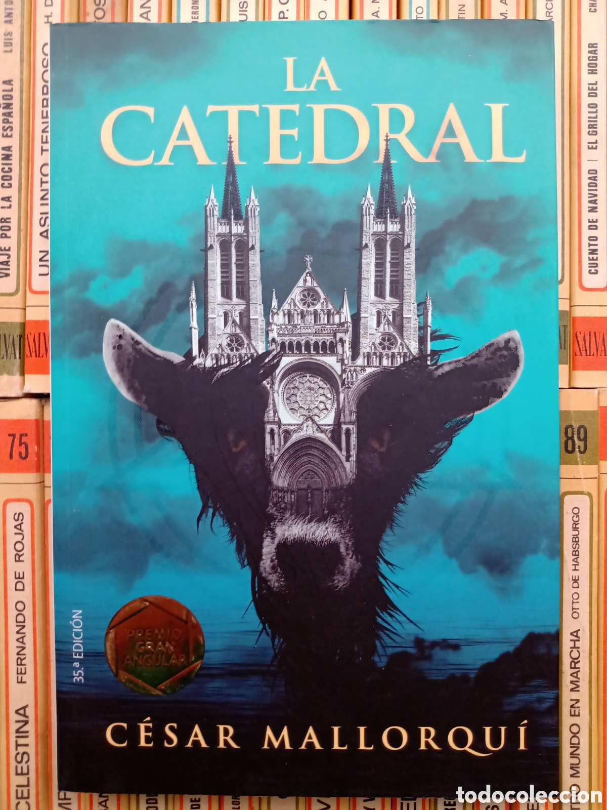 Libros de segunda mano: La Catedral, C&eacute;sar Mallorqu&iacute;, Magn&iacute;fico estado