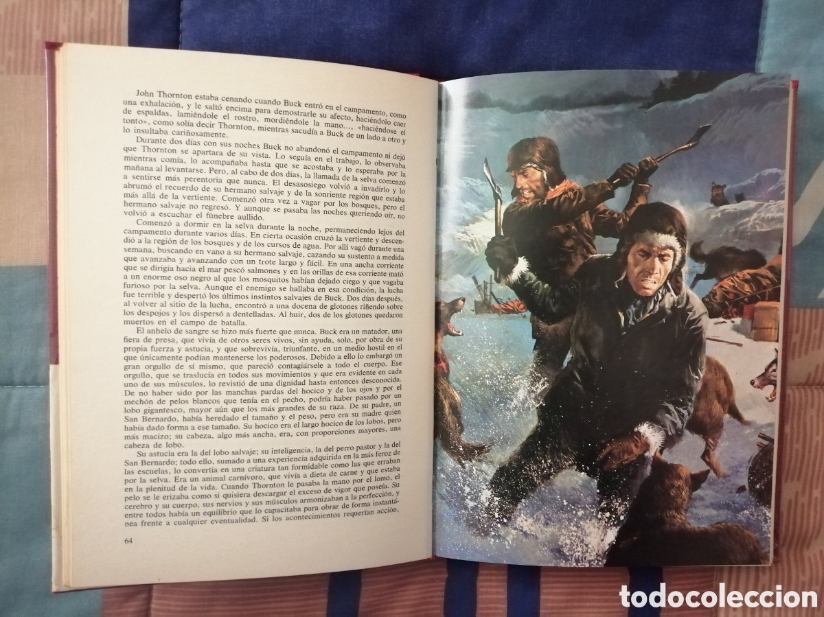 Libros de segunda mano: Bd. La llamada de la Selva y Colmillo Blanco (Jack London) - Foto 3