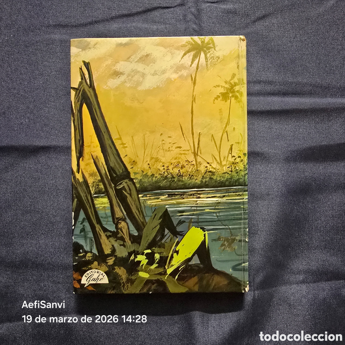 Libros de segunda mano: LA MUJER DEL PIRATA (SALGARI) (GAHE) - Foto 2