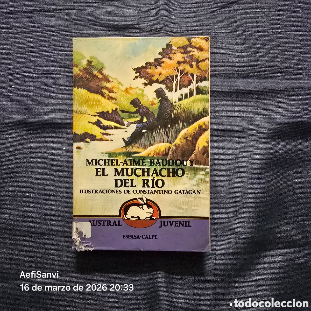 Libros de segunda mano: EL MUCHACHO DEL RIO (MICHEL-AIM&Eacute; BAUDOUY) (AUSTRAL JUVENIL, ESPASA-CALPE)