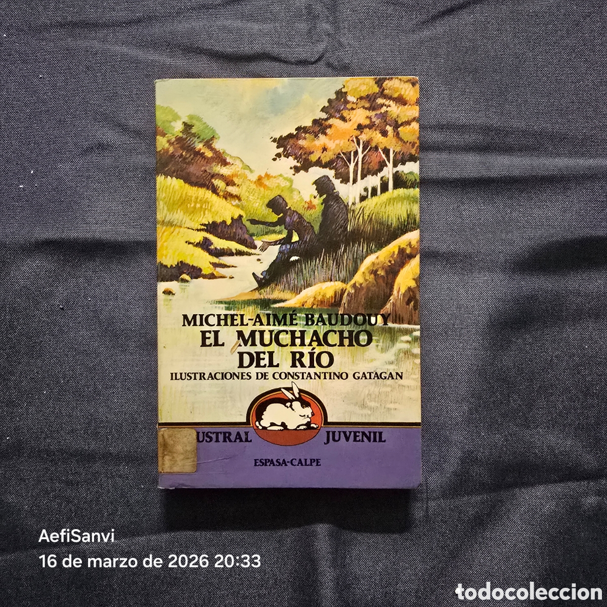 Libros de segunda mano: EL MUCHACHO DEL RIO (MICHEL-AIM&Eacute; BAUDOUY) (AUSTRAL JUVENIL, ESPASA-CALPE)