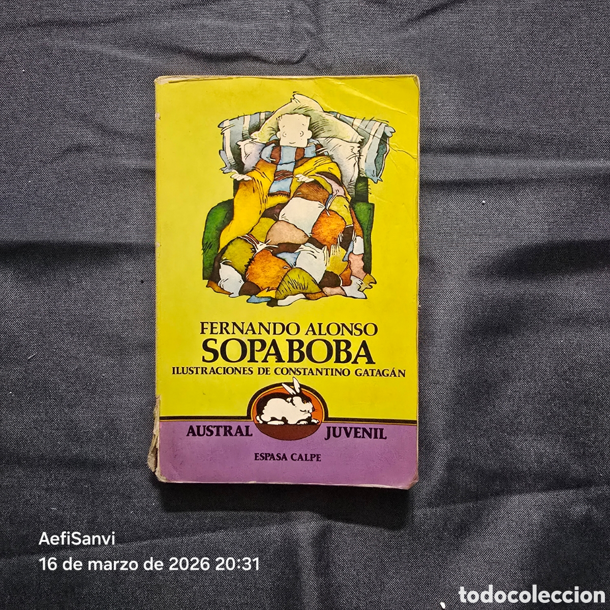 Libros de segunda mano: SOPABOBA (FERNANDO ALONSO) (AUSTRAL JUVENIL, ESPASA-CALPE)