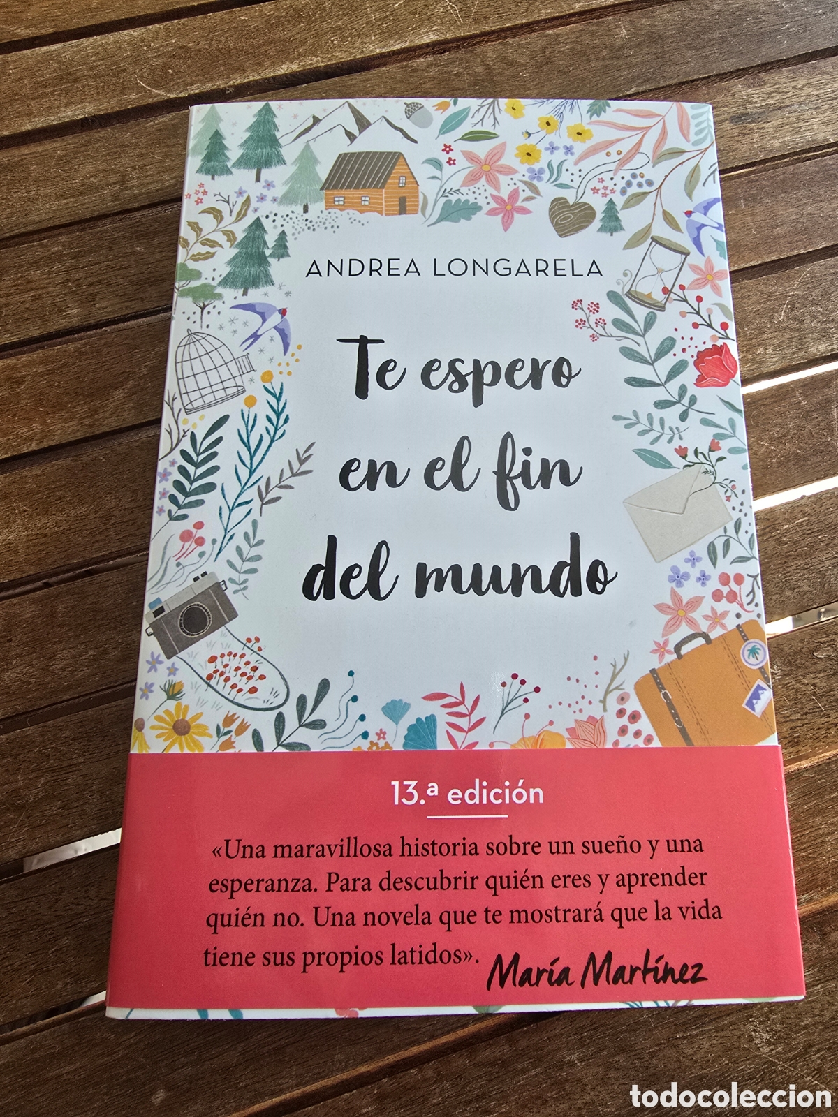 Libros de segunda mano: Te espero en el fin del mundo Longarela, Andrea CROSSBOOKS 2025 novela juvenil
