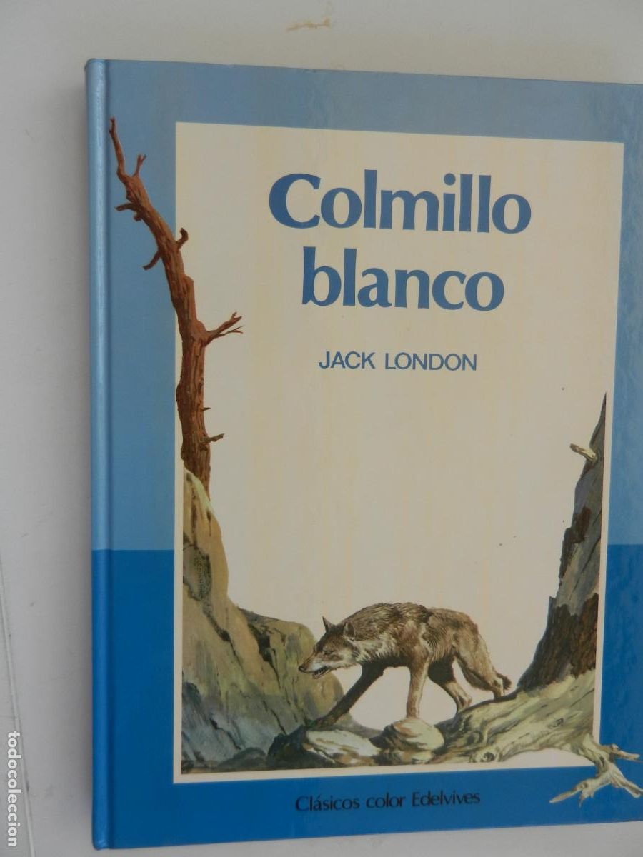 Libros de segunda mano: COLMILLO BLANCO - JACK LONDON - CLASICO COLOR EDELVIVES -1988- PASTAS DURAS