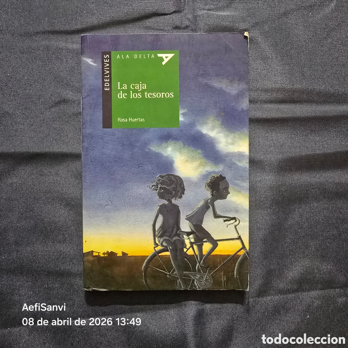 Libros de segunda mano: LA CAJA DE LOS TESOROS (ROSA HUERTAS) (ALA DELTA, EDELVIVES)