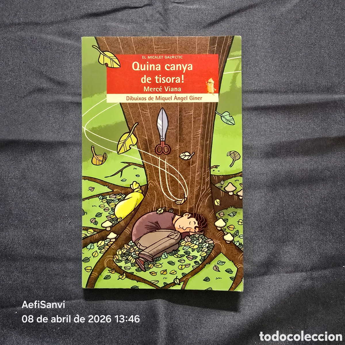 Libros de segunda mano: QUINA CANYA DE TISORA! (MERC&Eacute; VIANA) (BROMERA)