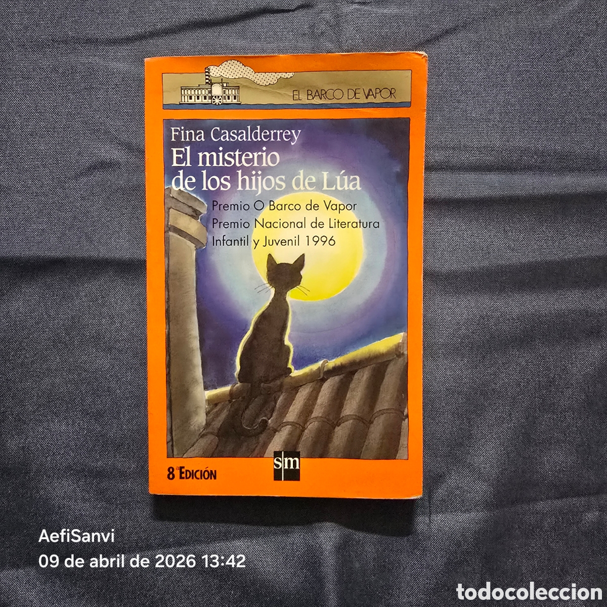 Libros de segunda mano: EL MISTERIO DE LOS HIJOS DE L&Uacute;A (FINA CASALDERREY) (EL BARCO DE VAPOR, SM)