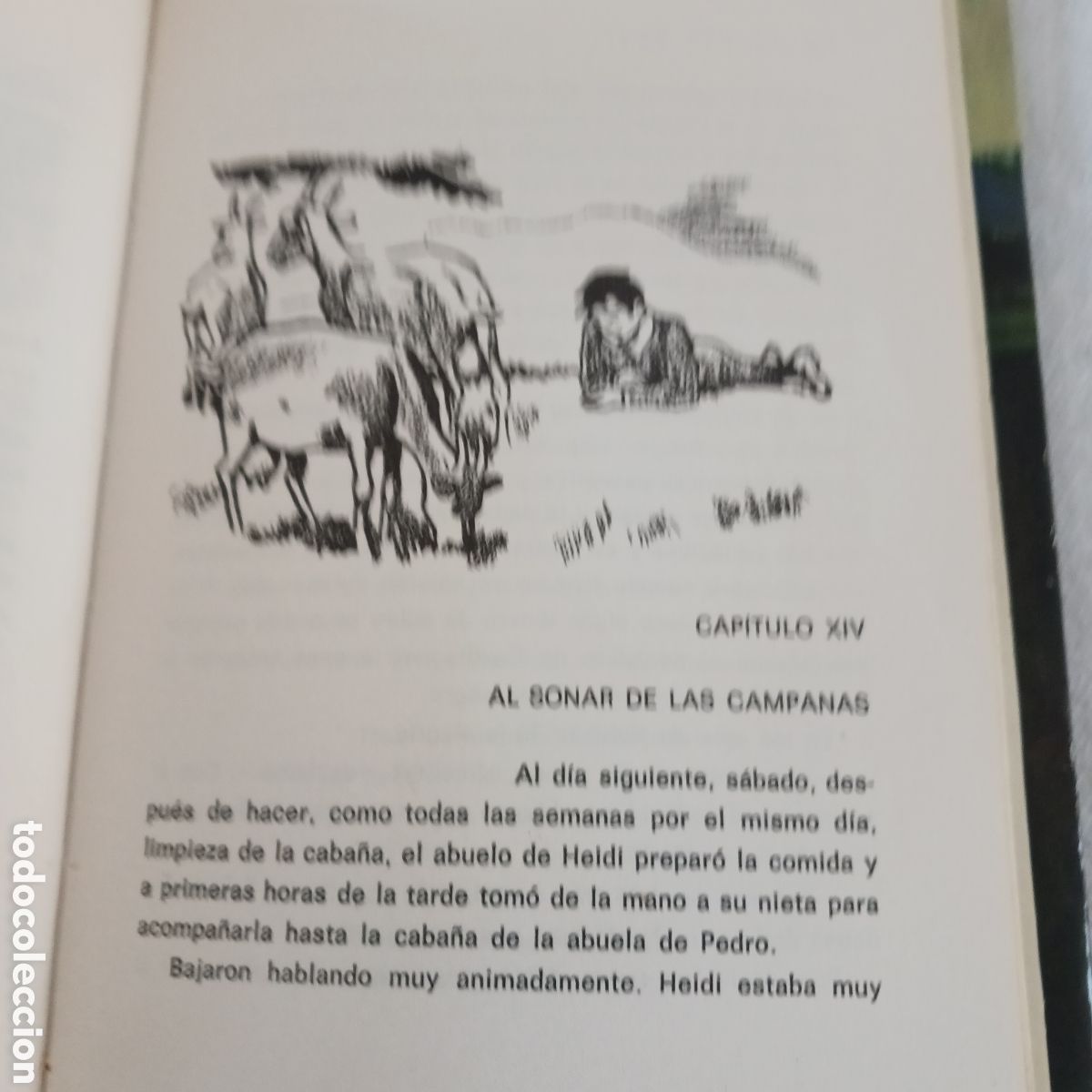 Libros de segunda mano: Heidi de Juana Spyri - Foto 13