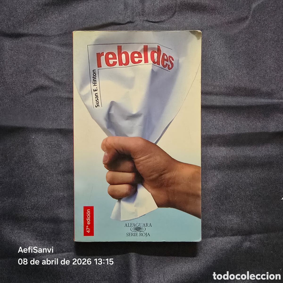 Libros de segunda mano: REBELDES (SUSAN E. HINTON) (SERIE ROJA, ALFAGUARA)