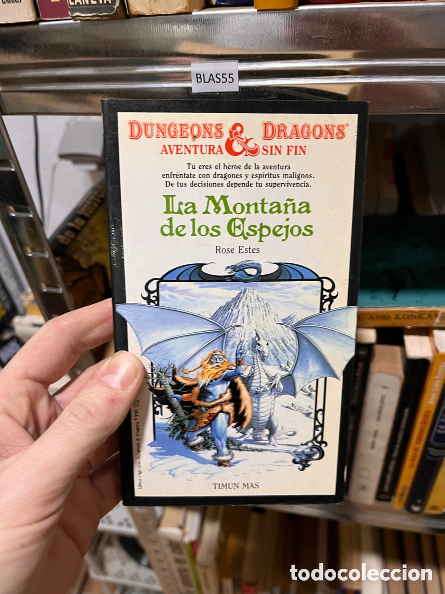 Libros de segunda mano: BLAS55 DUNGEONS & DRAGONS AVENTURA SIN FIN la monta&ntilde;a de los espejos, Rose Estes,