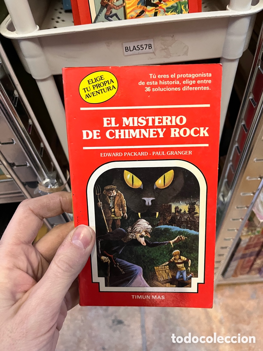 Libros de segunda mano: Blas57B EL MISTERIO DE CHIMNEY ROCK EDWARD PACKARD - PAUL GRANGER timun m&aacute;s elige tu propia aventura