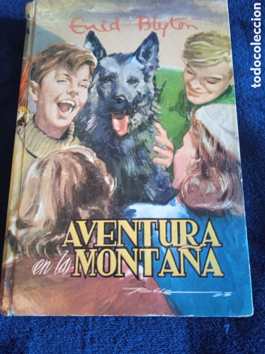 Libros de segunda mano: AVENTURA EN LA MONTA&Ntilde;A / ENID BLYTON -ED. MOLINO 1955