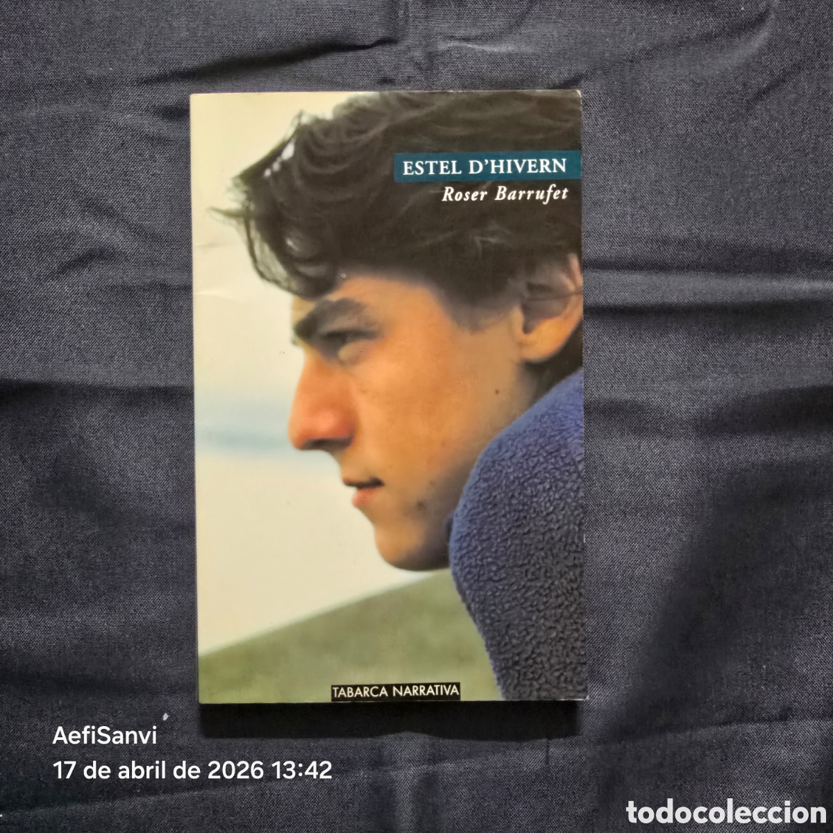 Libros de segunda mano: ESTEL L'HIVERN (ROSER BARRUFET) (TABARCA)