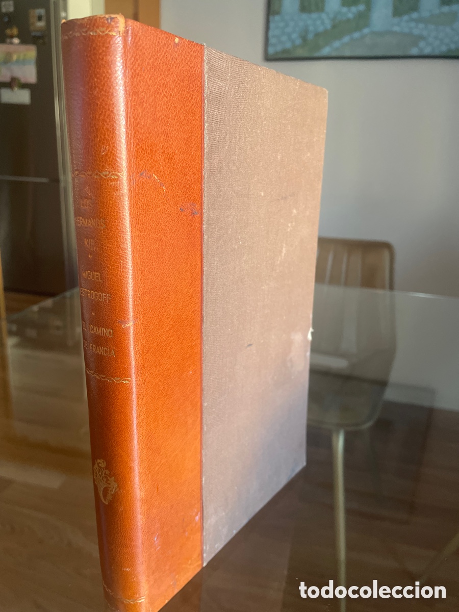 Libros de segunda mano: LOS HERMANOS KIP S&aacute;enz de Jubera c.1900