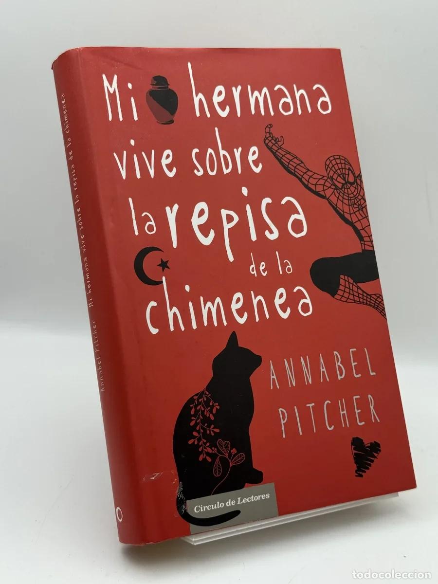 Libros de segunda mano: Mi hermana vive sobre la repisa de la chimenea - Annabel Pitcher, Lola D&iacute;ez