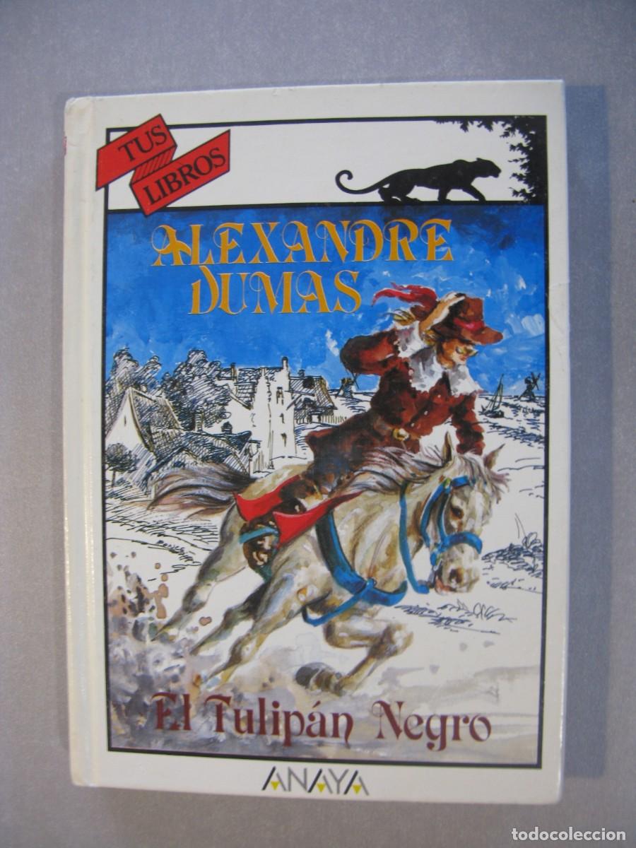 Libros de segunda mano: EL TULIP&Aacute;N NEGRO - ALEXANDRE DUMAS - COLECCI&Oacute;N TUS LIBROS N&ordm; 82 - EDICIONES GENERALES ANAYA