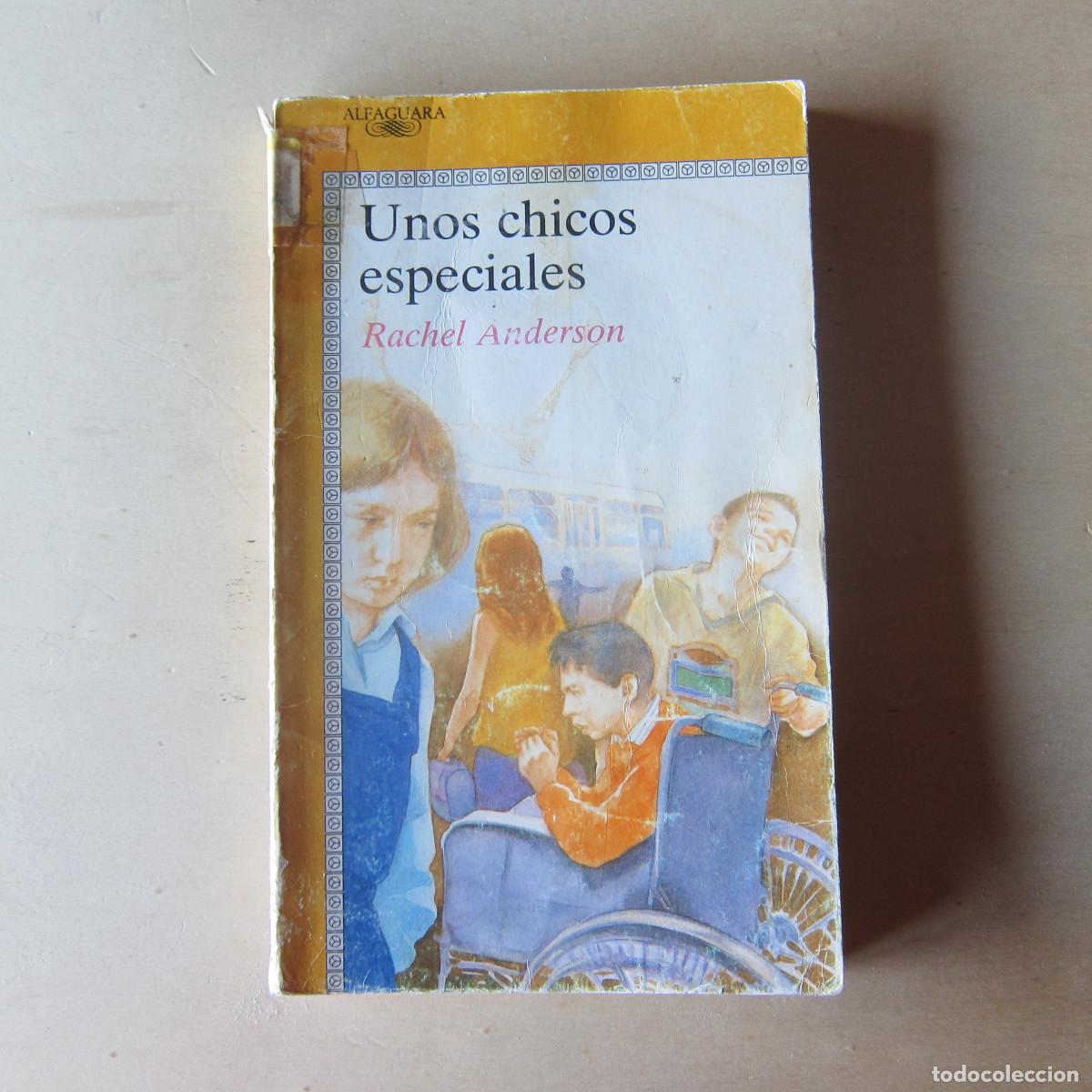 Libros de segunda mano: UNOS CHICOS ESPECIALES - RACHEL ANDERSON (ALFAGUARA) JUVENIL