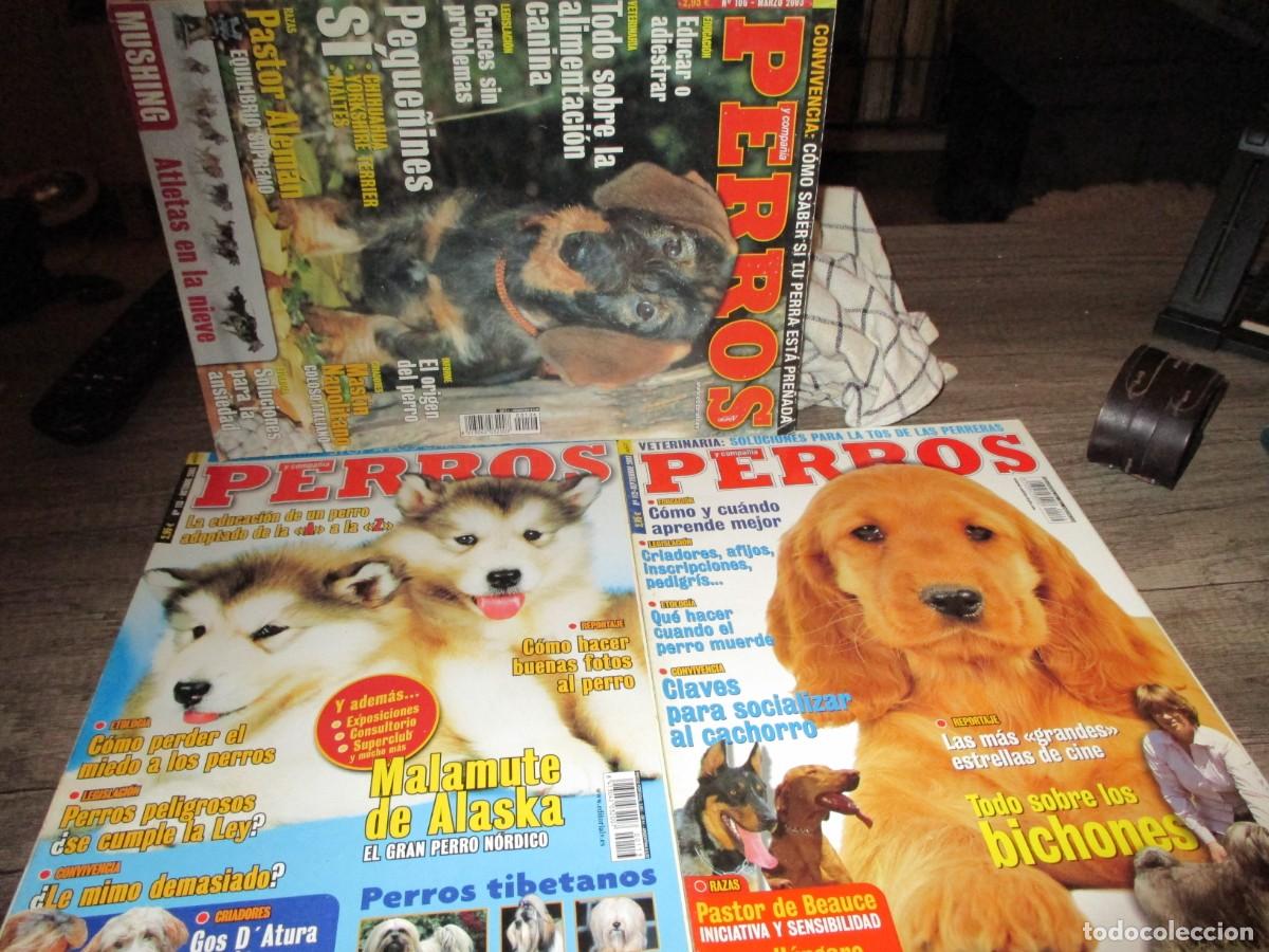 Libros de segunda mano: 289- Lote 3 Revistas Perros y Compa&ntilde;&iacute;a (2003) - Excelente Estado - N&uacute;meros 106, 112, 113