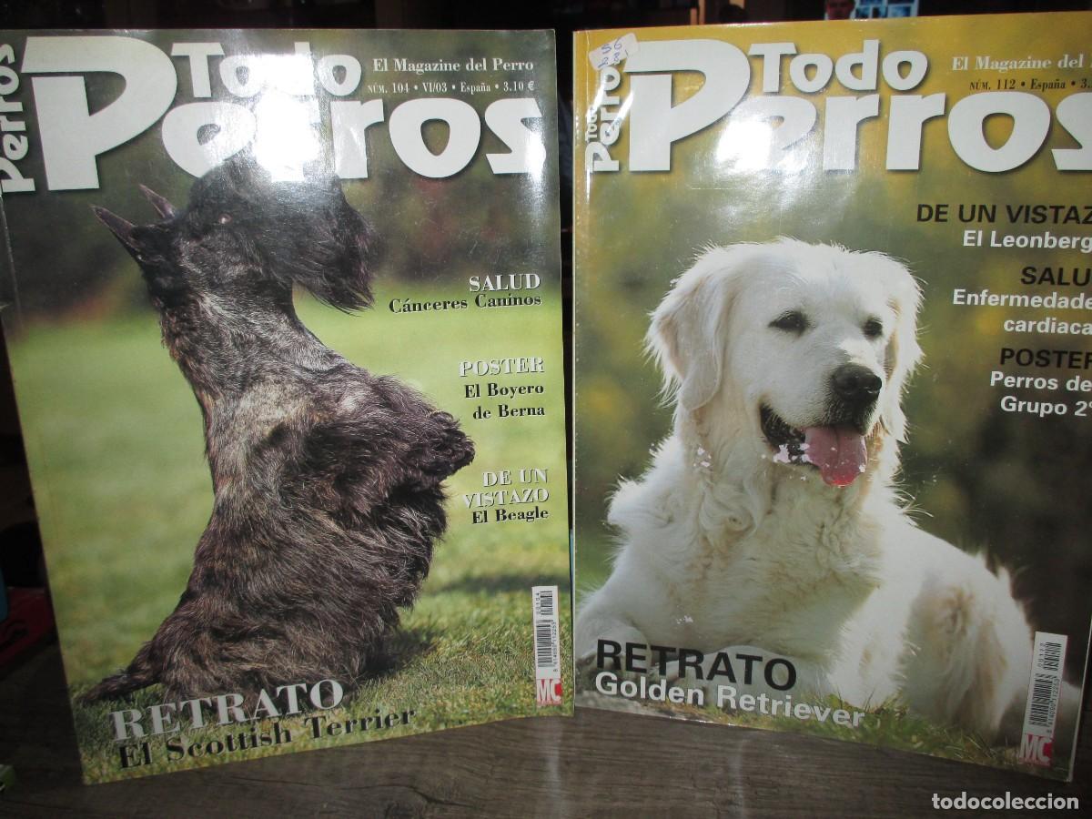 Libros de segunda mano: 290- Lote 2 Revistas &rdquo;Todo Perros&rdquo; (N&uacute;ms. 104 y 112) - Estado Impecable de Colecci&oacute;n
