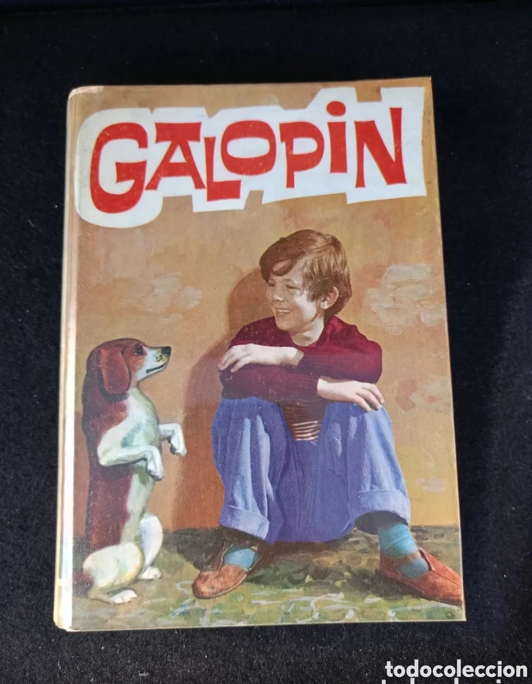 Libros de segunda mano: Galopin Virginia Pagani 1966