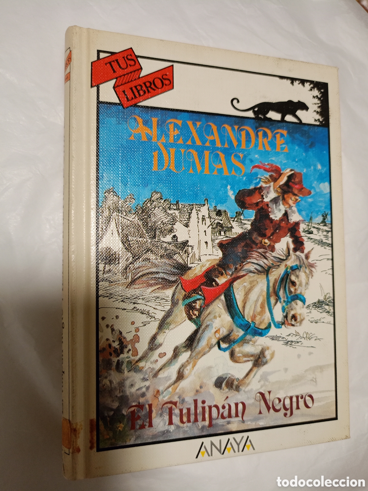 Libros de segunda mano: Colecci&oacute;n Tus libros Anaya 82. El tulip&aacute;n negro, de Alexandre Alejandro Dumas