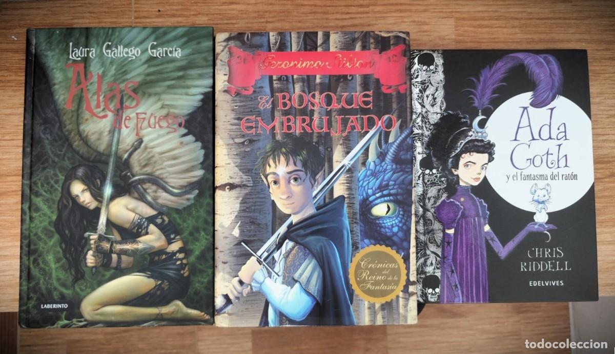 Libros de segunda mano: LOTE NOVELAS JUVENILES - ALAS DE FUEGO / GER&Oacute;NIMO STILTON / ADA GOTH