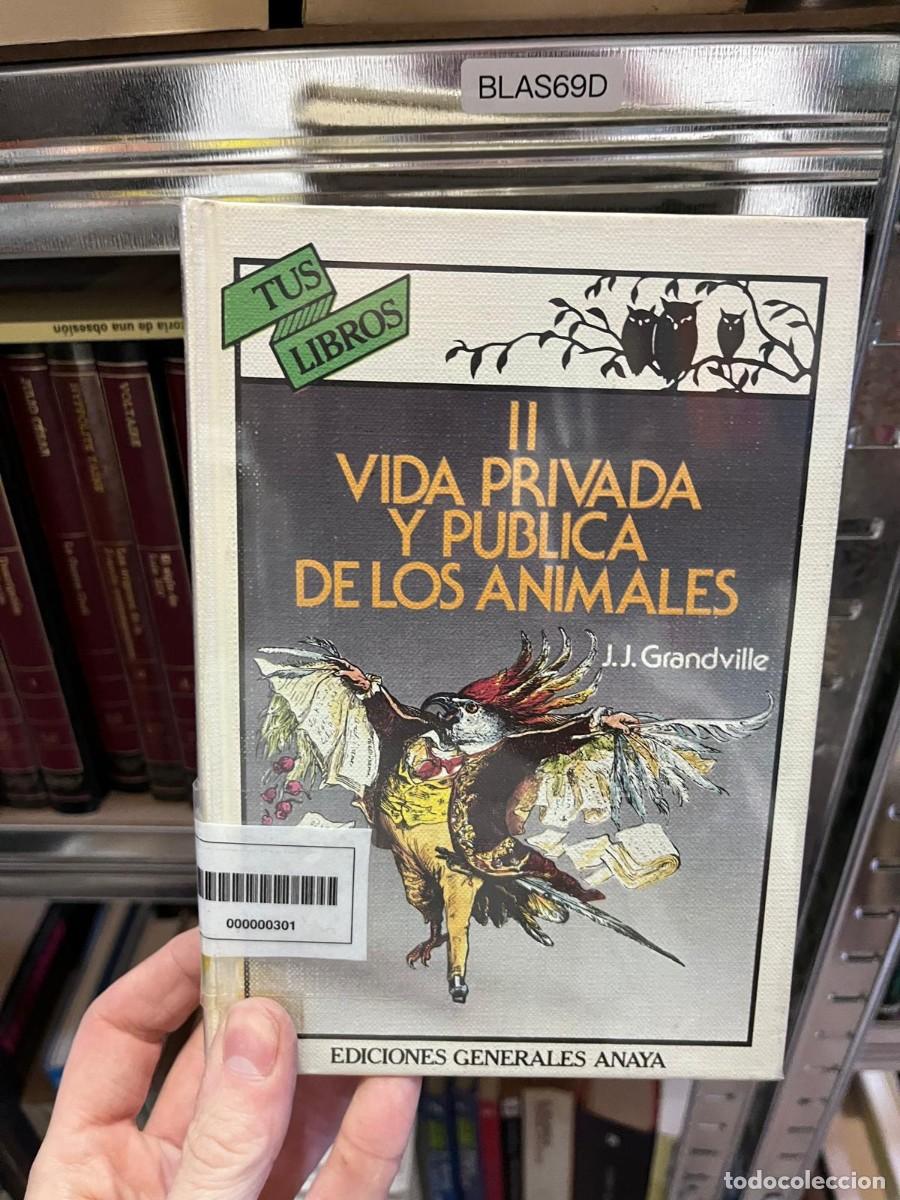 Libros de segunda mano: BLAS69D + Vida privada y p&uacute;blica de los animales II &mdash; J.J. Grandville &mdash; Anaya &mdash;tus libros
