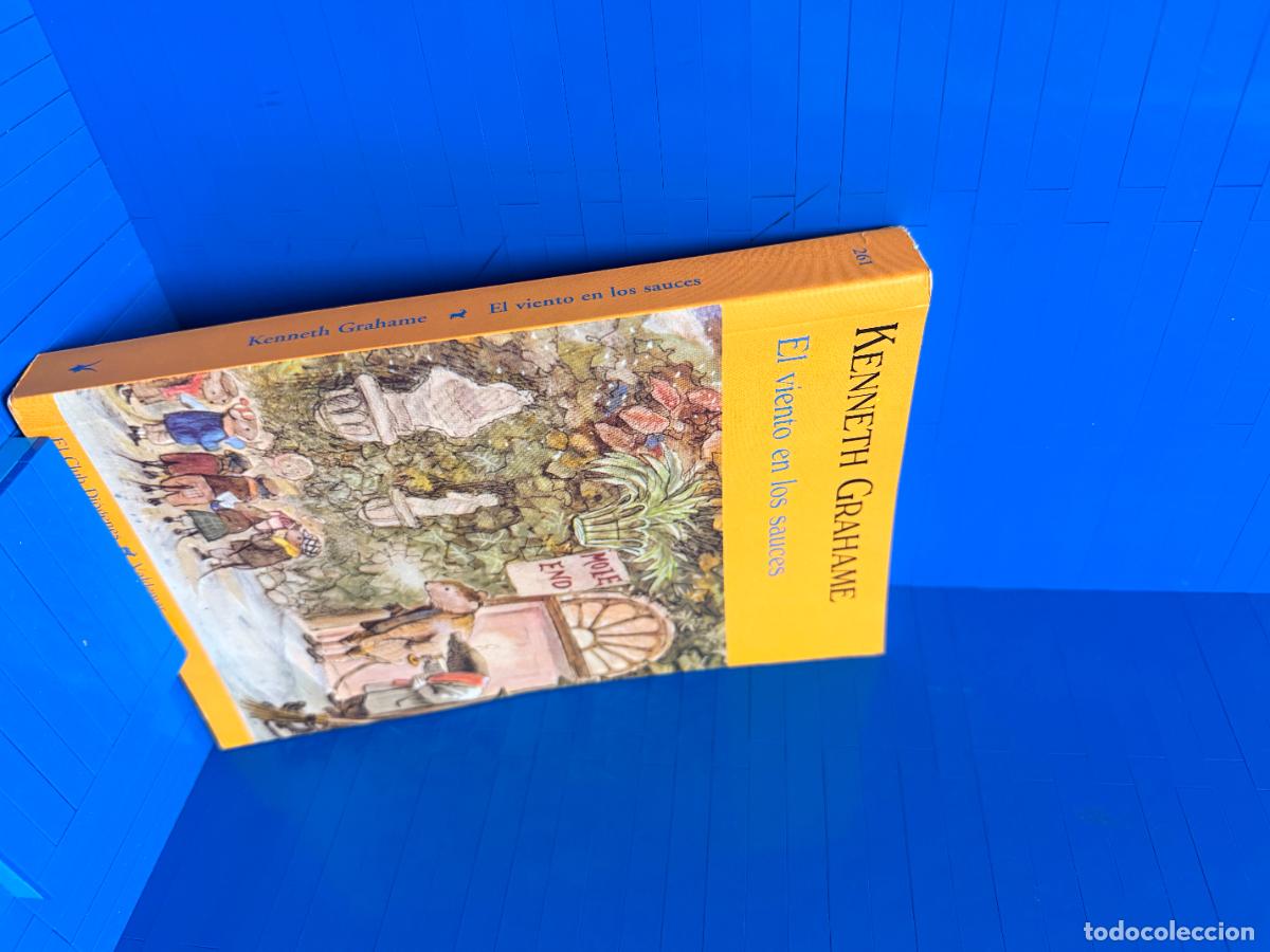 Libros de segunda mano: EL VIENTO EN LOS SAUCES &ndash; ED. VALDEMAR &ndash; 2008 &ndash; KENNETH GRAHAME