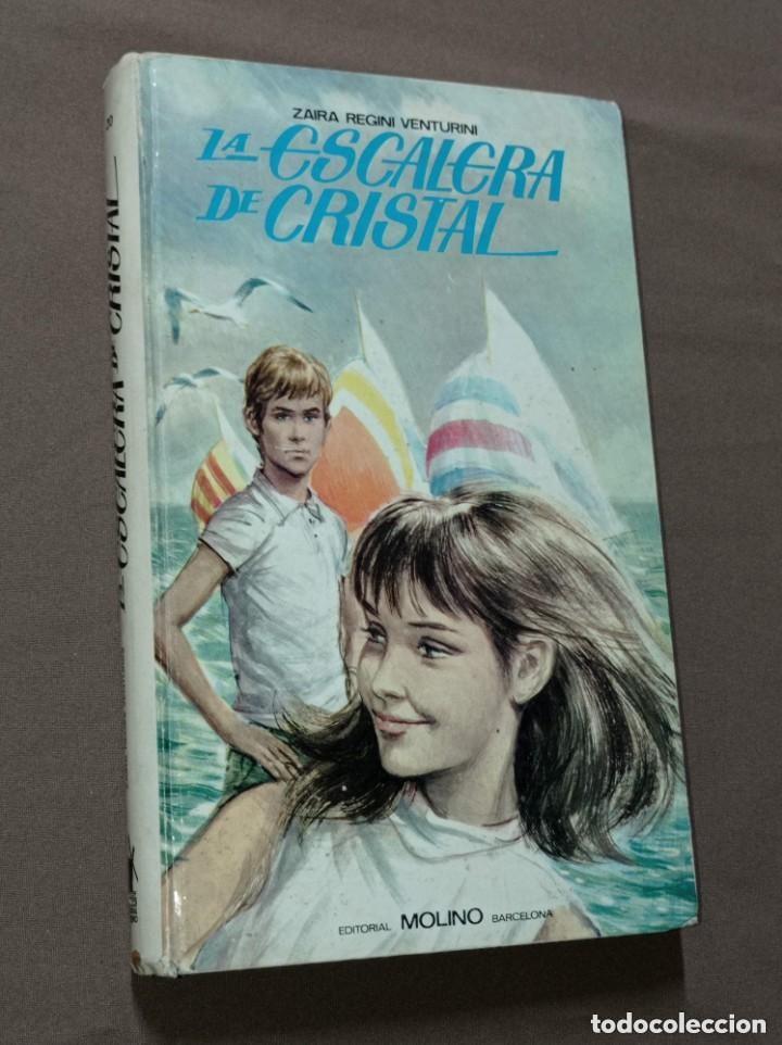 Libros de segunda mano: LA ESCALERA DE CRISTAL. Zaira REGINI VENTURINI. Traduce V. Murillo. Ilustra Baita. MOLINO, 1969. +++