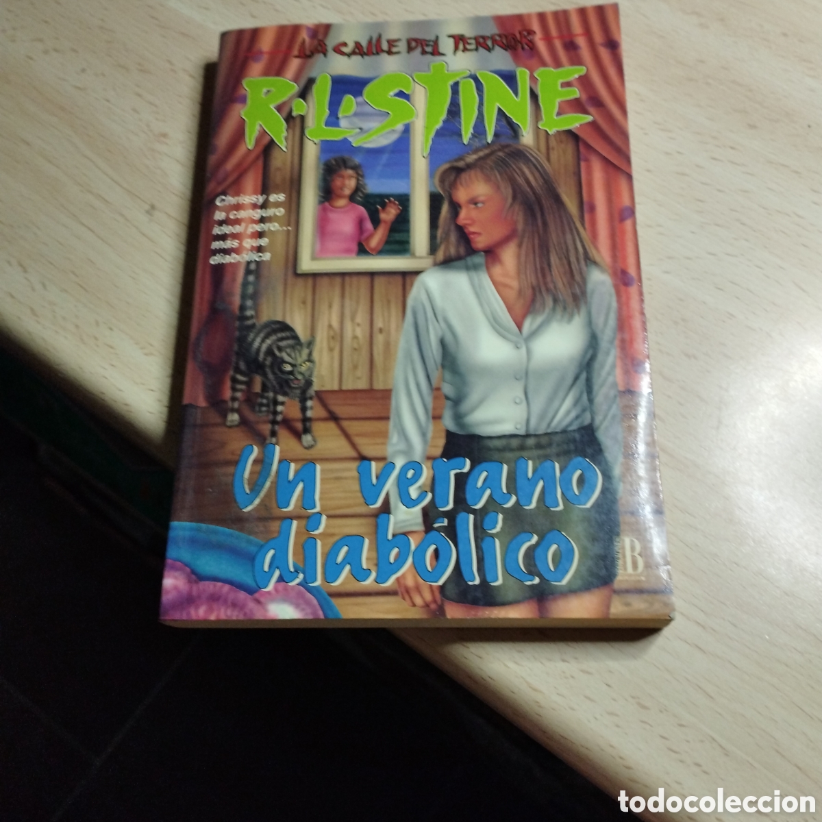 Libros de segunda mano: Un verano diab&oacute;lico. La calle del terror. R. L. Stine. 1996. Edici&oacute;n B. 1&ordf; Edici&oacute;n.