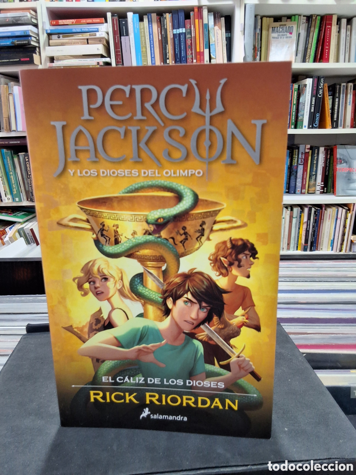 Libros de segunda mano: PERCY JACKSON Y LOS DIOSES DEL OLIMPO - EL CALIZ DE LOS DIOSES - RICK RIORDAN - ENV&Iacute;O DESDE 1,50