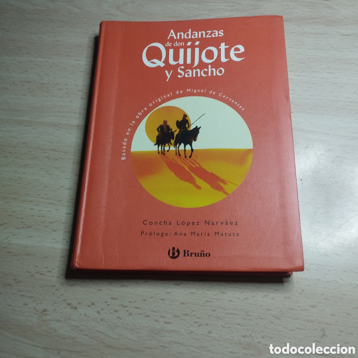 Libros de segunda mano: Andanzas de Don Quijote y Sancho. Concha L&oacute;pez Narv&aacute;ez. 2005. Bru&ntilde;o