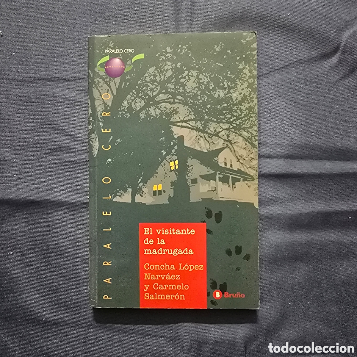 Libros de segunda mano: EL VISITANTE DE LA MADRUGADA (CONCHA L&Oacute;PEZ NARV&Aacute;EZ Y CARMELO SALMER&Oacute;N) (PARALELO CERO, BRU&Ntilde;O)