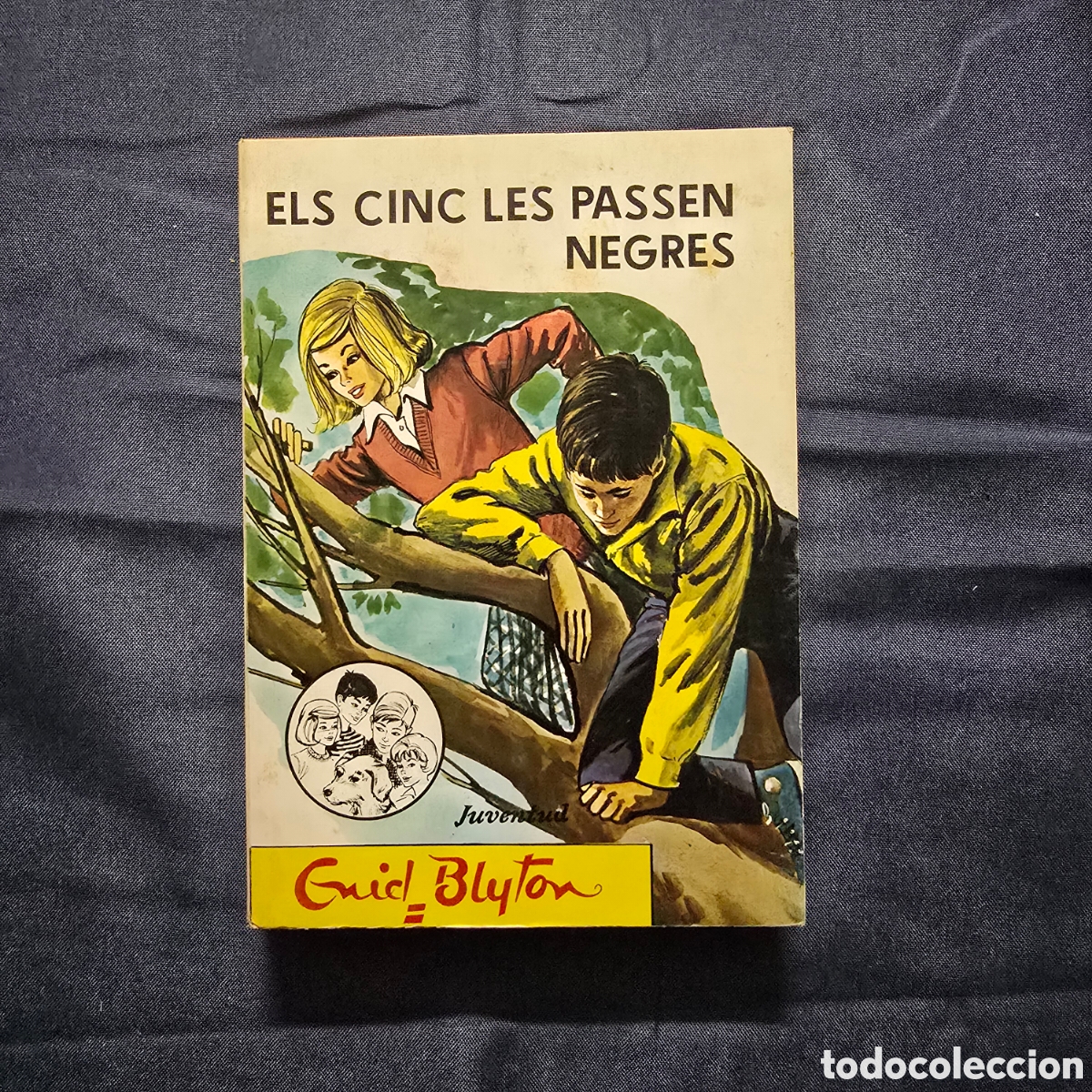 Libros de segunda mano: ELS CINC LES PASSEN NEGRES (ENID BLYTON) (JUVENTUD)