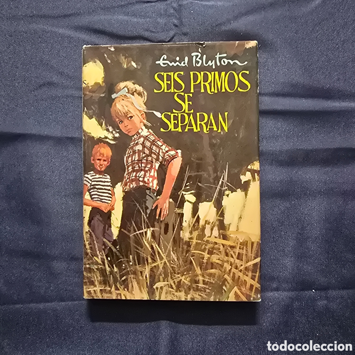 Libros de segunda mano: AVENTURA 89: SEIS PRIMOS SE SEPARAN (ENID BLYTON) (MOLINO)