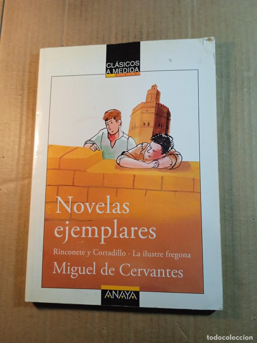 Gebrauchte B&uuml;cher: NOVELAS EJEMPLARES DE MIGUEL DE CERVANTES