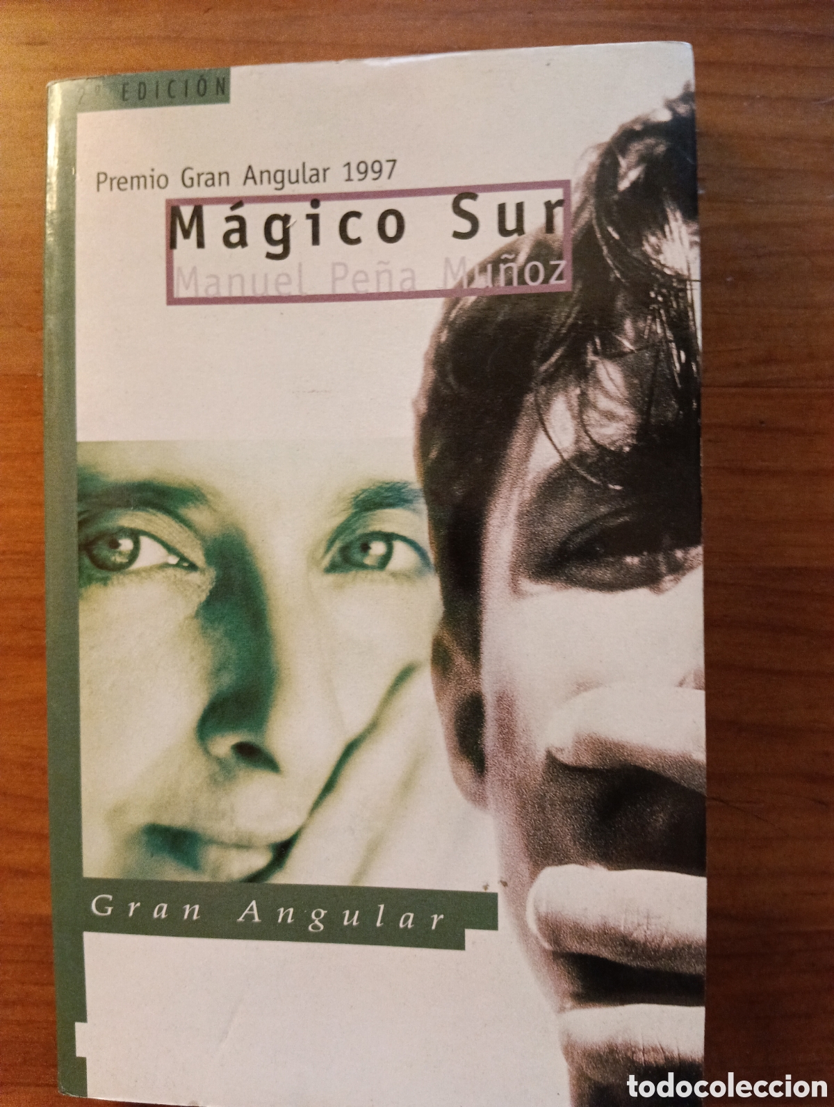 Libros de segunda mano: M&aacute;gico Sur, Manuel Pe&ntilde;a Mu&ntilde;oz