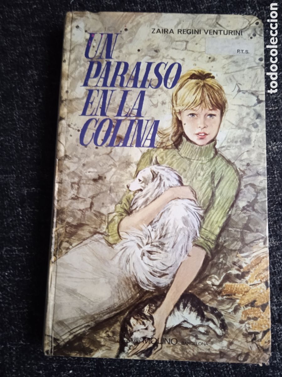 Libros de segunda mano: UN PARA&Iacute;SO EN LA COLINA. / ZAIRA REGINI VENTURINI -ED. EDITORIAL MOLINO