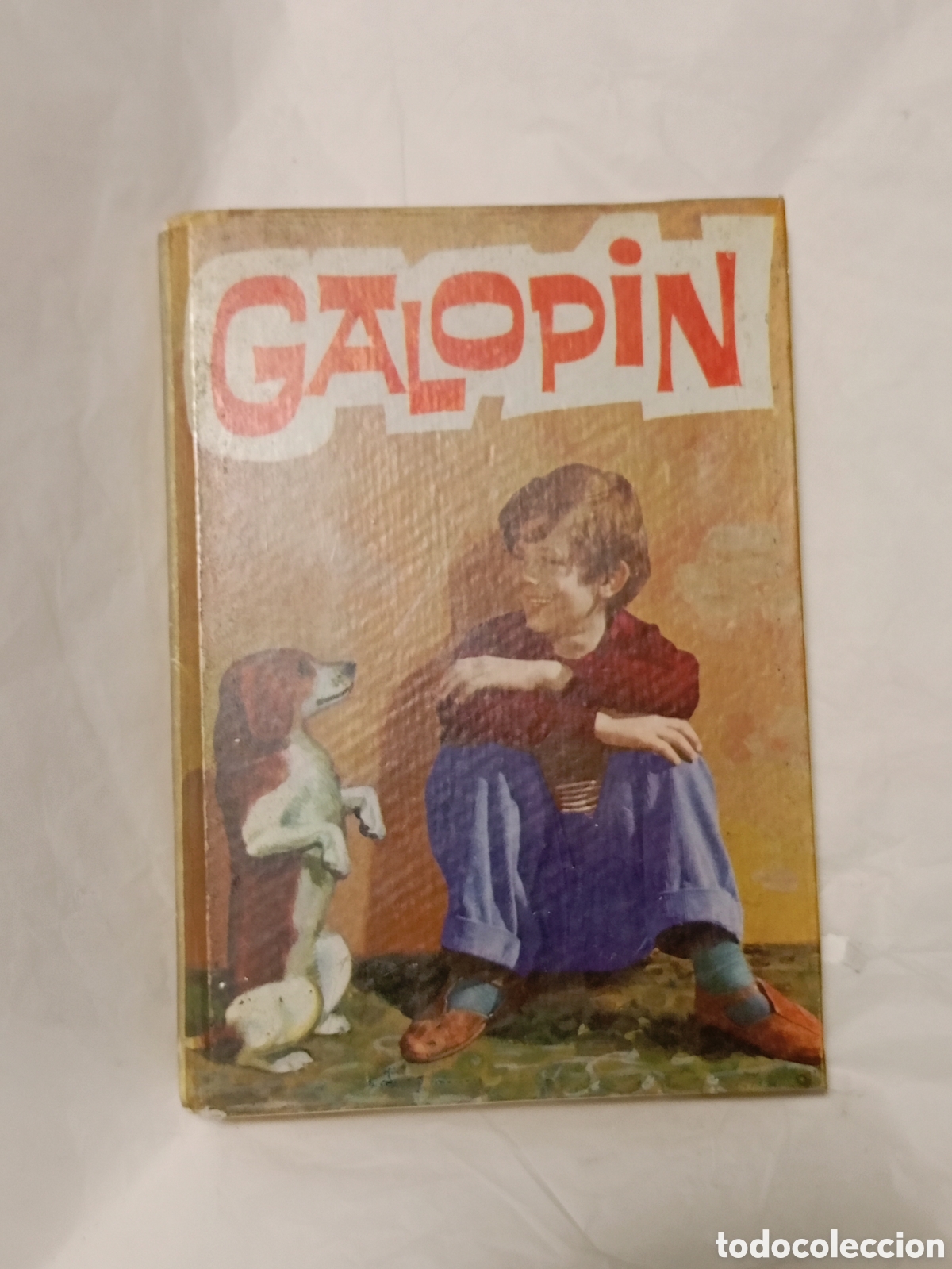 Gebrauchte B&uuml;cher: Galopin Virginia Pagani 1966