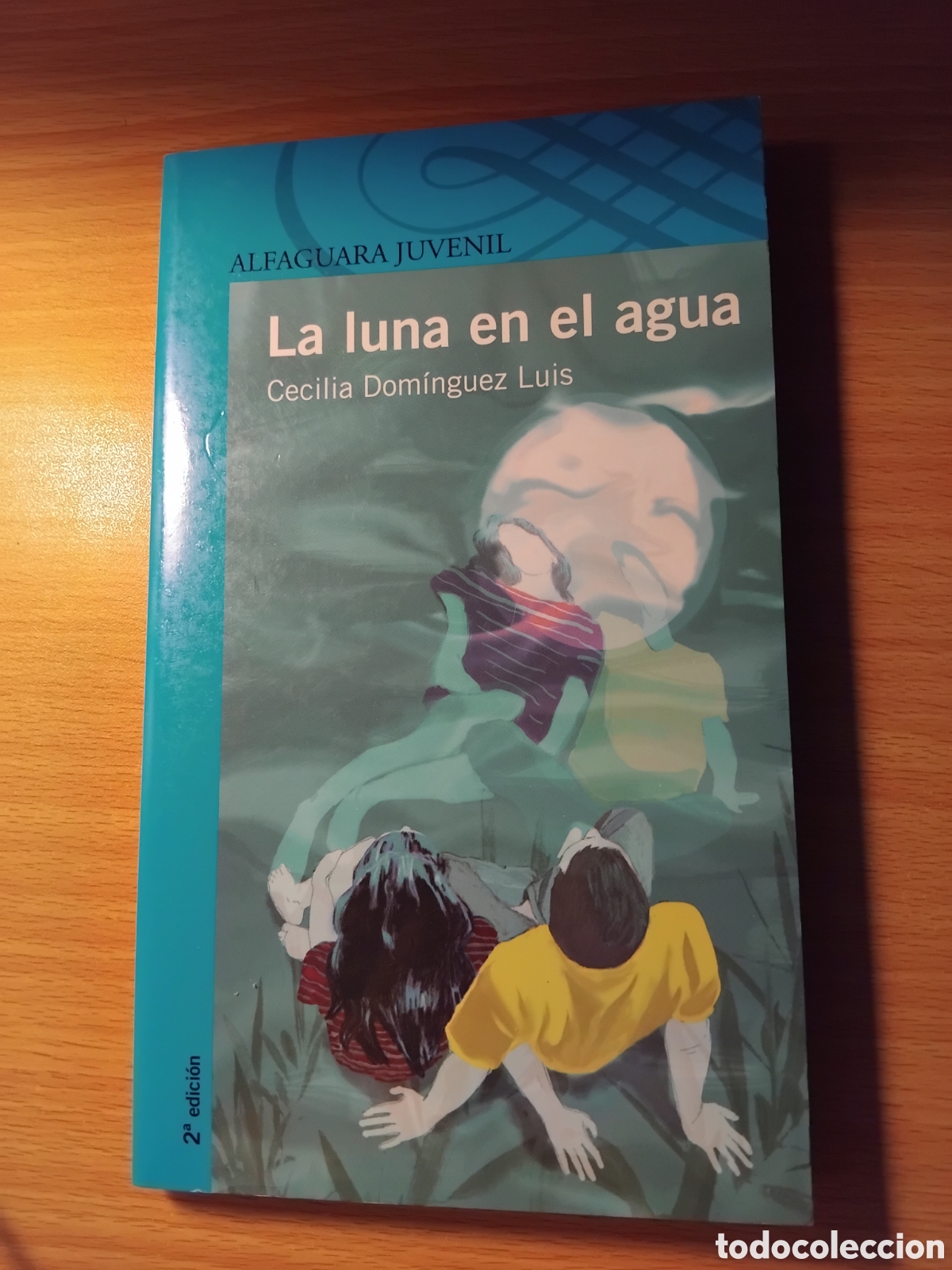 Libros de segunda mano: La luna en el agua;Cecilia Dom&iacute;nguez Luis;Santillana;2011