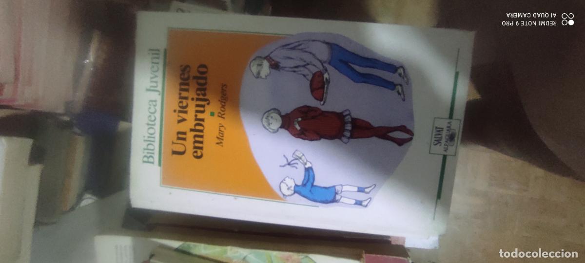 Libros de segunda mano: UN VIERNES EMBRUJADO - MARY RODGERS -- BIBLIOTECA JUVENIL N&ordm; 14 - ALFAGUARA 1987 --